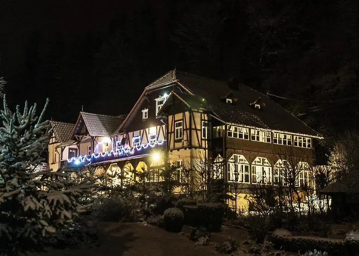 Gosciniec Kowalova Habitación en casa particular Mieroszow